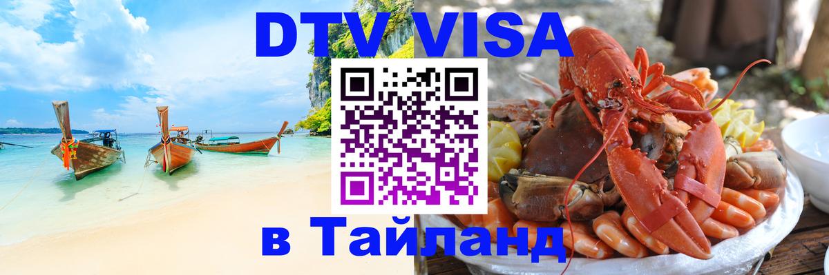 Сколько стоит DTV виза — актуальные цены, оформление даже без документов - 07.01.2026 